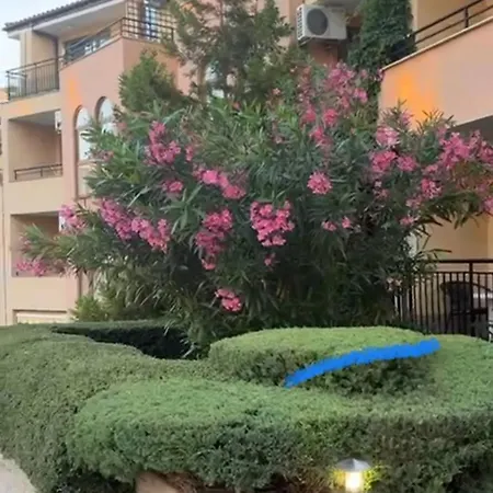 Sveti Vlas, Paradise Dreams Appartement